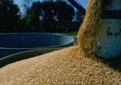 一擔糧是多少斤糧食