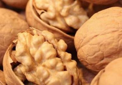 堅(jiān)果有哪些