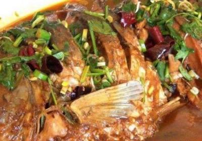 紅燒鯉魚怎么做法