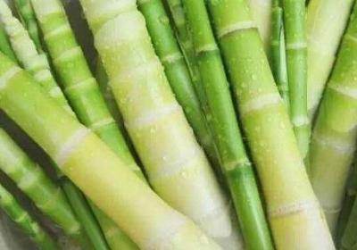 竹筍怎么挑選嫩的