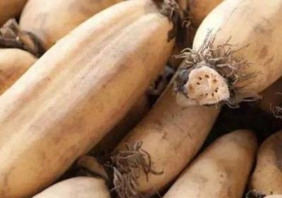 煮藕怎樣才能不變色