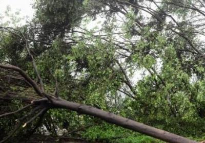 當(dāng)風(fēng)力等級較大時我們要什么