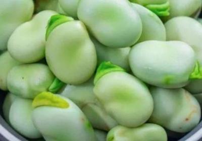 蠶豆的內(nèi)部結(jié)構(gòu)有哪些