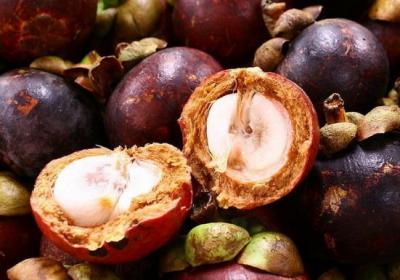 山竹里面發(fā)黃的是什么 山竹里面黃黃的能吃嗎 山竹果肉發(fā)黃有毒嗎