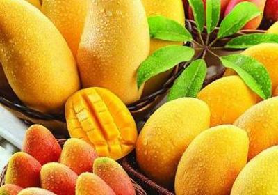 芒果不能和什么食物一起吃？吃芒果有哪些禁忌