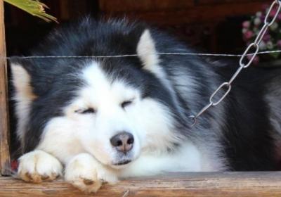 爆笑短笑話大全，40個頂級搞笑笑話