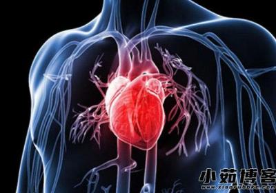 人體結(jié)構(gòu)圖五臟六腑腎的位置，腰椎骨的兩側(cè)(附帶五臟六腑介紹圖)