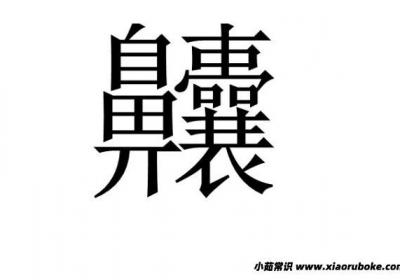 齉龘齉齾爩麤龗灪龖厵纞虋怎么讀，字形復(fù)雜讀音簡單(附帶拼音)