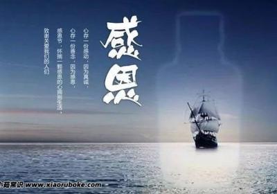 感恩相識珍惜相遇語句，感恩相知相識相遇優美句子(適合發朋友圈)