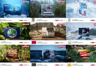 精彩公益發聲：天貓動物品牌保護動物，改變正在發生