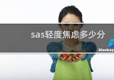 sas輕度焦慮多少分