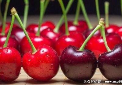 車厘子和櫻桃有什么區別，同一種水果(中國叫櫻桃外國叫車厘子)