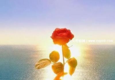 適合所有情緒的句子，心情說說感悟生活的文案(適合發朋友圈)