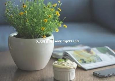 發朋友圈的生活隨心的句子，抖音最火幽默唯美正能量短句