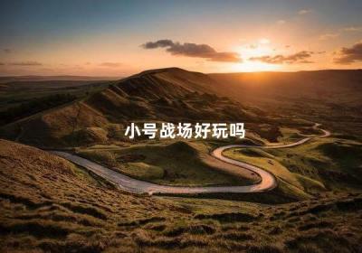 小號戰場好玩嗎 適合雙排的游戲手游