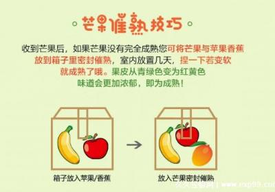 芒果怎么催熟最快不會有黑點，和水果放在一起最簡單