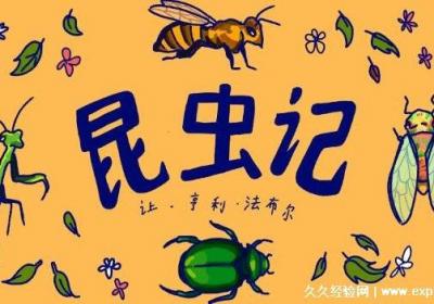 昆蟲記每章節內容概括50字左右，每章都介紹一種獨特的昆蟲