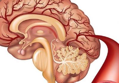 各種木耳菜的做法