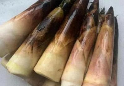 ?五花肉炒竹筍的做法，竹筍香辣入味脆甜可口，每次都是光盤