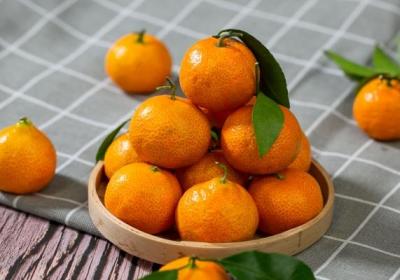 羊肉和桔子能一起吃嗎