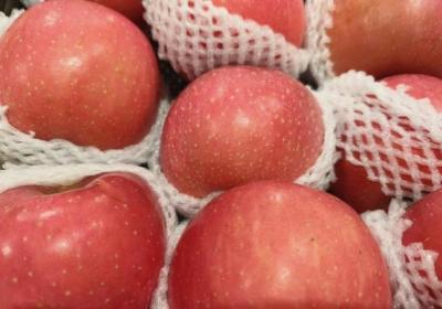 懷孕可以吃楊梅嗎