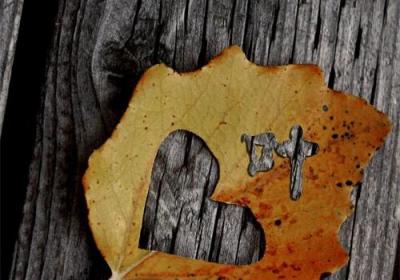 ?原創設計｜精美姓氏 名字 高清手機壁紙 個性訂制篇（8）