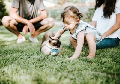 短期旅游意外保險交多少？