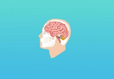 食腦蟲怎么才可以殺死