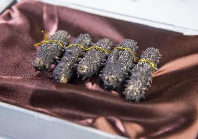 干海參的泡發方法是什么