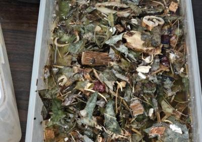 黑順片怎么去毒性