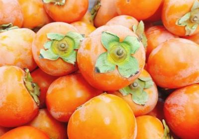 柿子不可以和什么一起吃