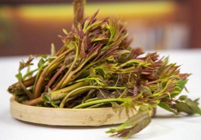 香椿不能和什么同吃